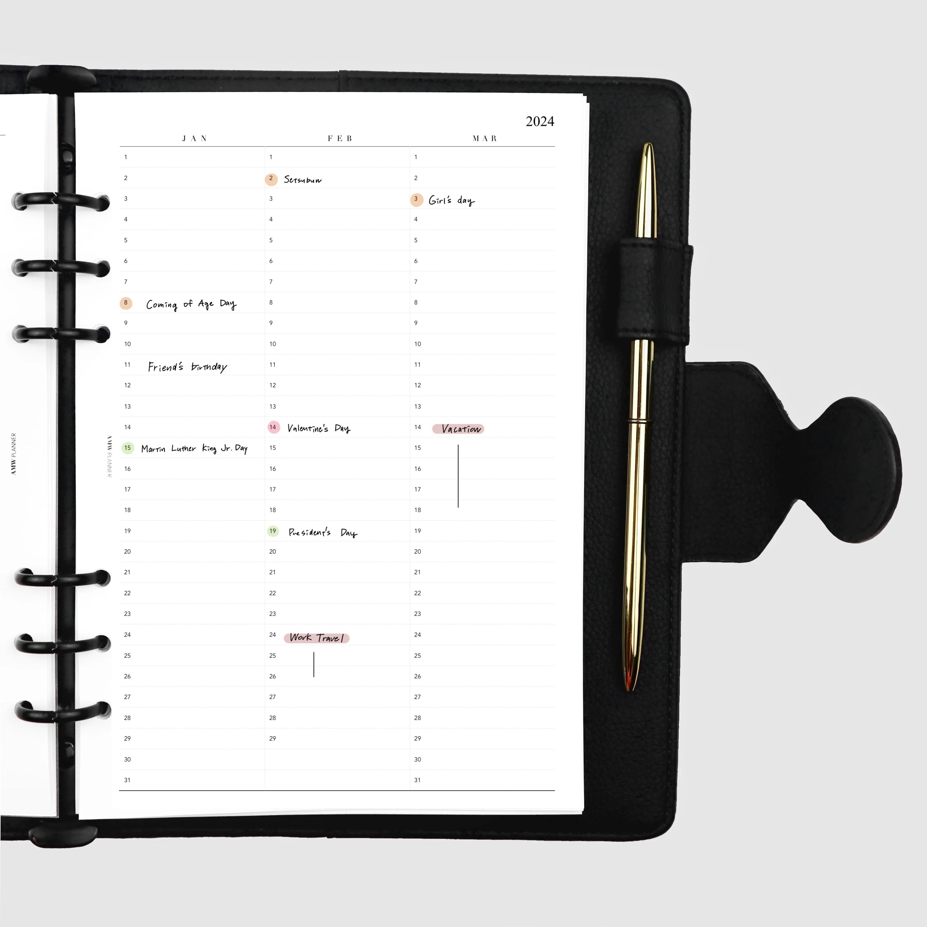 2024 Year at a glance planner - Quarterly